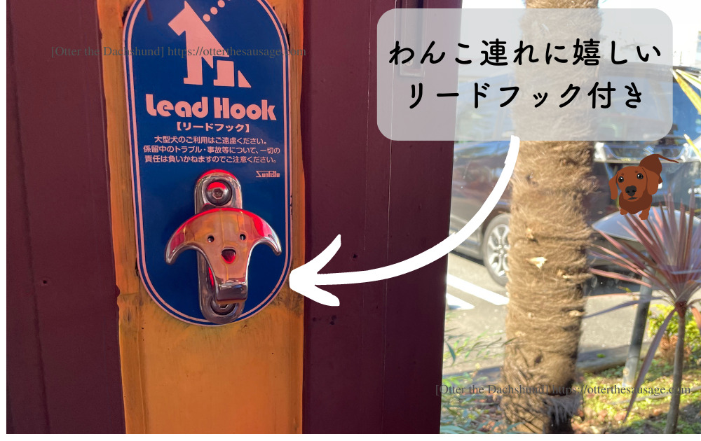 photo_Otter the Dachshund_travel with dogs_hang out with dogs_犬旅ブログ_犬とお出かけブログ_コナズ珈琲ふじみ野_犬連れハワイアンカフェ_リードフック